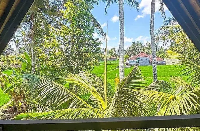 Nunu Bali Eco Friendly Retreat 4* Nyambu